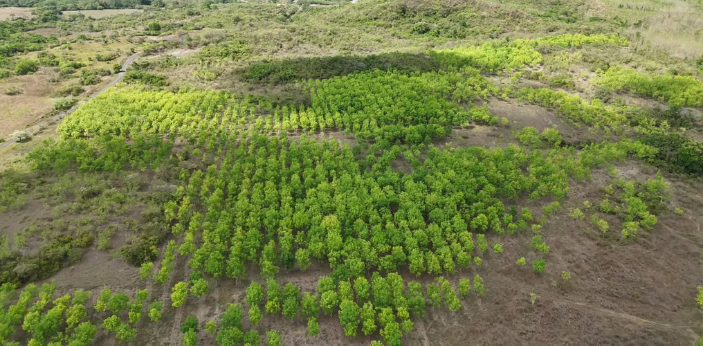 Se vende: 40.73 ha – segregaciones posibles – $13,000/ha – negociables – Aclita, Veraguas - Imagen 8