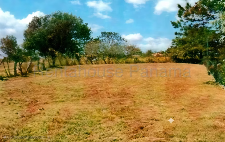 Venta Terreno Gorgona JM