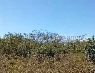 Venta terreno Aguadulce JM