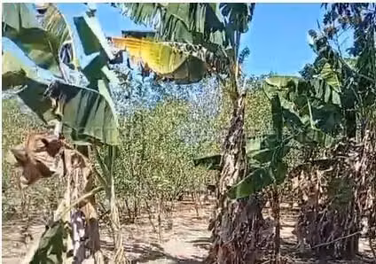 Venta terreno Aguadulce JM