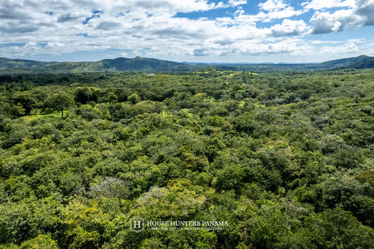 Terrenos boscosos en Caldera Panamá