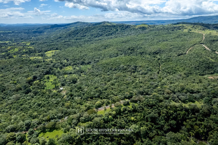 Terrenos boscosos en Caldera Panamá
