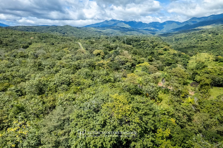 Terrenos boscosos en Caldera Panamá