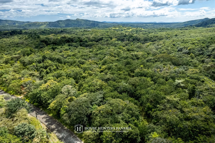 Terrenos boscosos en Caldera Panamá