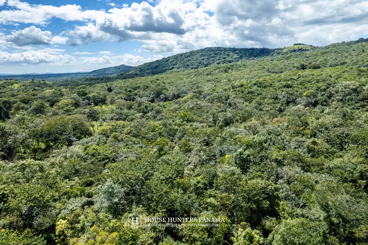 Terrenos boscosos en Caldera Panamá