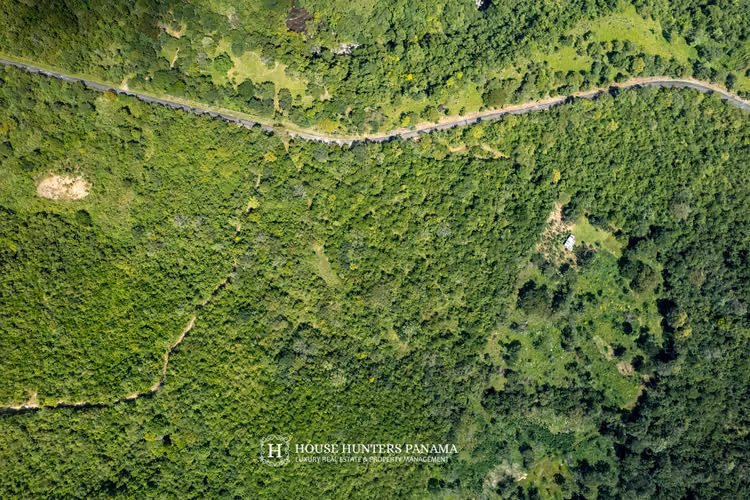 Terrenos boscosos en Caldera Panamá