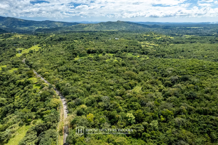 Terrenos boscosos en Caldera Panamá