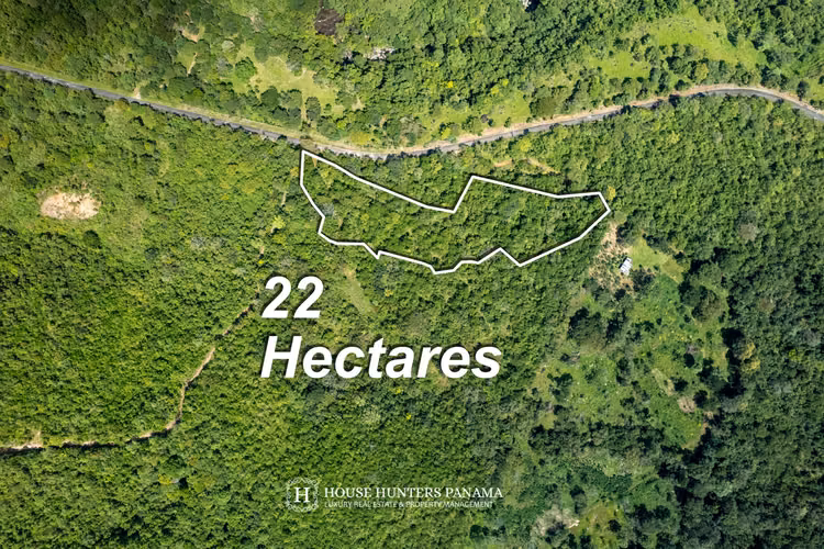Terrenos boscosos en Caldera Panamá