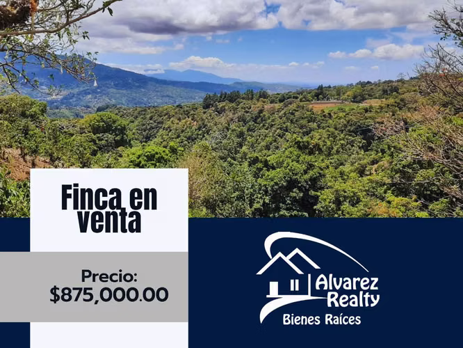 ID# F-0153 Farm for Sale located in Boquete