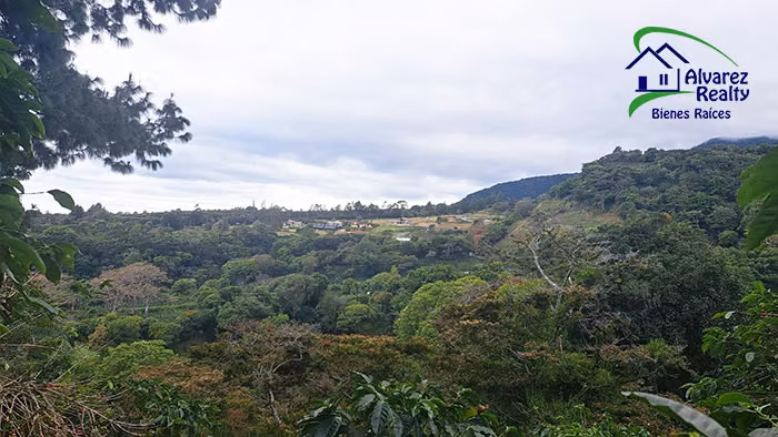 ID# F-0153 Finca en Venta ubicada en Boquete - Imagen 2