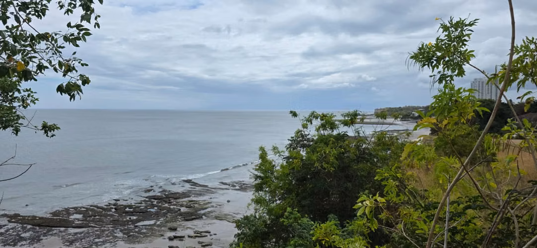 Terreno Frente al Mar para Desarrollo | El Palmar, San Carlos
