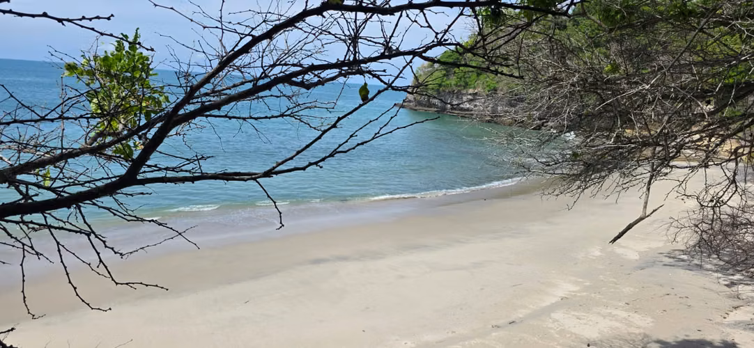 Terreno Frente al Mar para Desarrollo | El Palmar, San Carlos