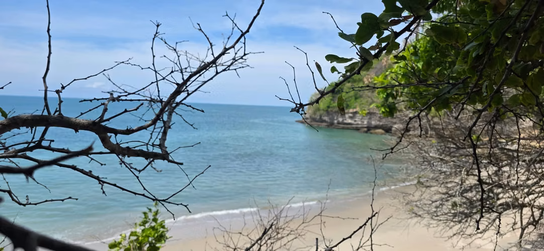 Terreno Frente al Mar para Desarrollo | El Palmar, San Carlos