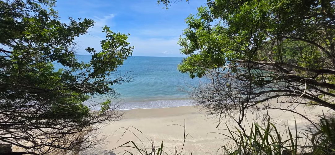 Terreno Frente al Mar para Desarrollo | El Palmar, San Carlos