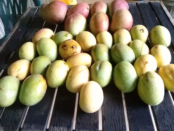Vendo lote en Bejuco