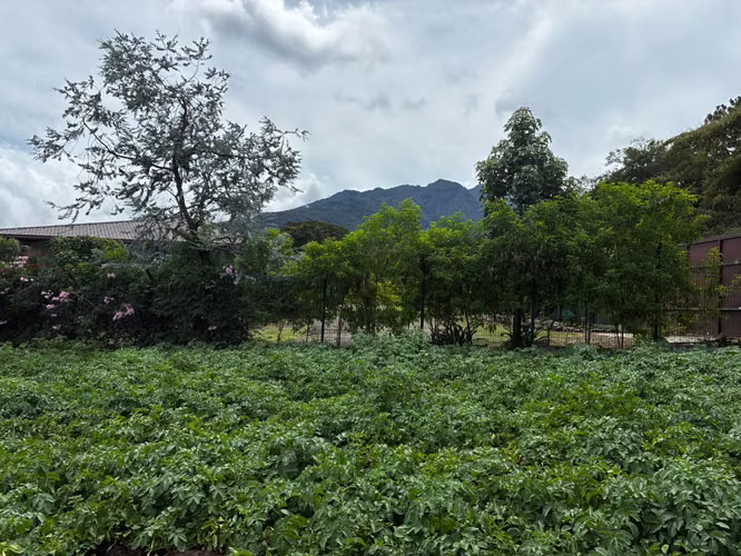 Terreno en Venta en Palmira Arriba, Boquete | 5,000 m² | Vistas a la Montaña | $128,000