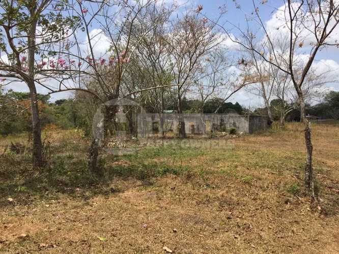 Venta de terreno en El Arado, La Chorrera