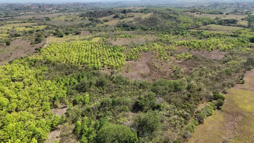 Se vende: 39.9 ha – segregaciones posibles – $12,000/ha – negociables – Aclita, Veraguas - Imagen 6