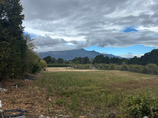 Venta de Terreno en Palmira Arriba, Boquete – 1 Hectárea con Vistas a la Montaña