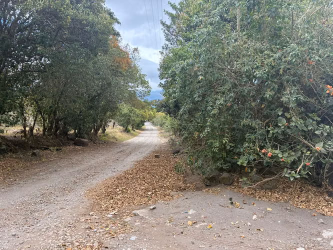 Venta de Terreno en Palmira Arriba, Boquete – 1 Hectárea con Vistas a la Montaña