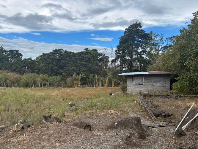 Venta de Terreno en Palmira Arriba, Boquete – 1 Hectárea con Vistas a la Montaña