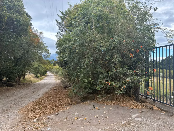 Venta de Terreno en Palmira Arriba, Boquete – 1 Hectárea con Vistas a la Montaña