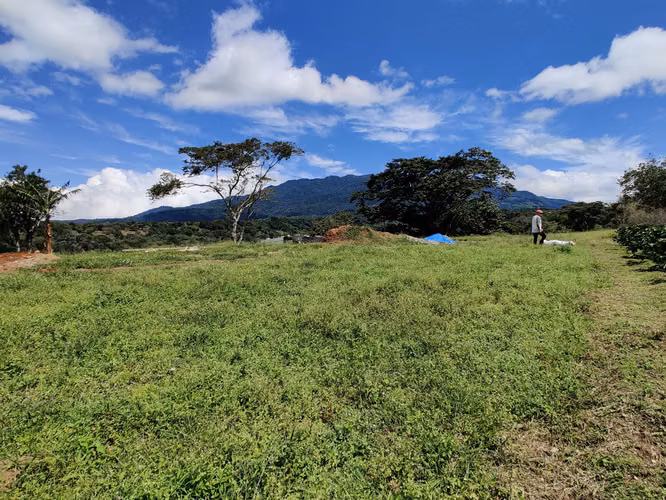 Venta Terreno en Palmira Centro, Boquete | 5200 m2 | Vista a la Montaña | $125,000 - Imagen 4