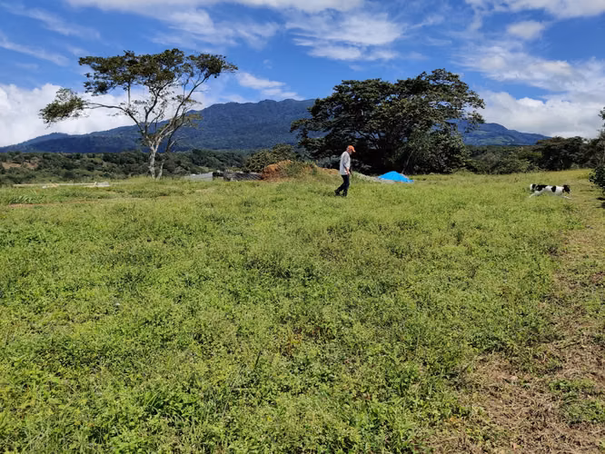 Venta Terreno en Palmira Centro, Boquete | 5200 m2 | Vista a la Montaña | $125,000 - Imagen 5