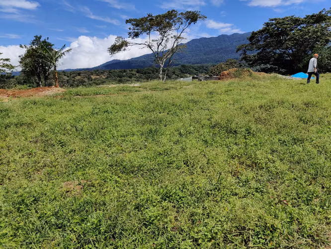 Venta Terreno en Palmira Centro, Boquete | 5200 m2 | Vista a la Montaña | $125,000 - Imagen 3