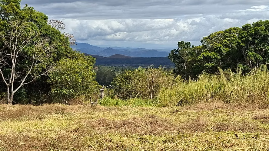 Venta Terreno en Palmira Centro, Boquete | 5200 m2 | Vista a la Montaña | $125,000 - Imagen 2