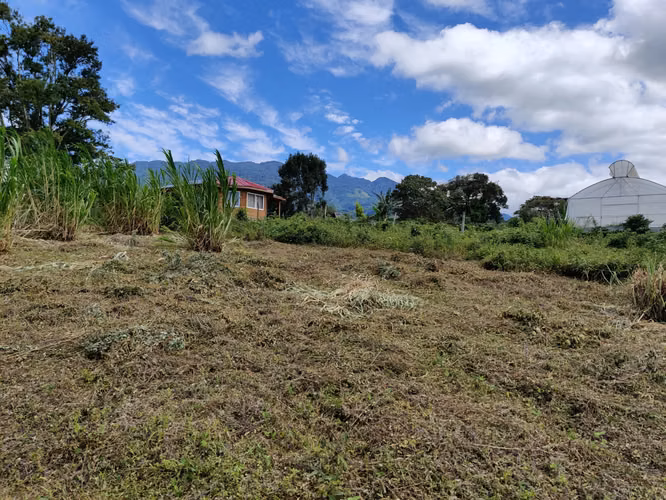 Venta Terreno en Palmira Centro, Boquete | 5200 m2 | Vista a la Montaña | $125,000 - Imagen 8