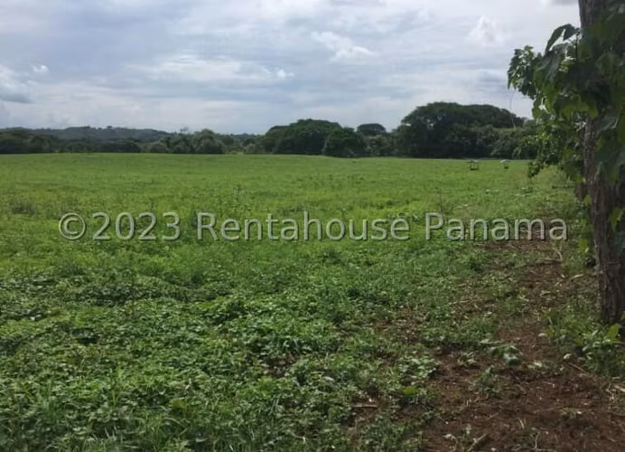 LAND FOR SALE IN THE SAINTS BDP