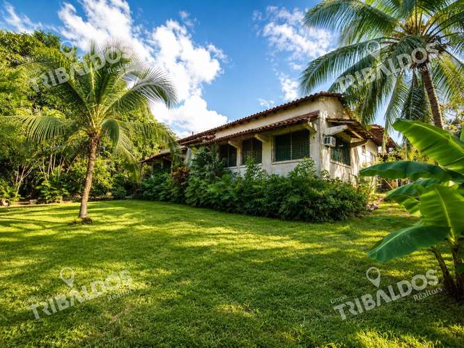 Terreno de 1,556m² en Altos del Golf con casa colonial para restaurar - Imagen 5