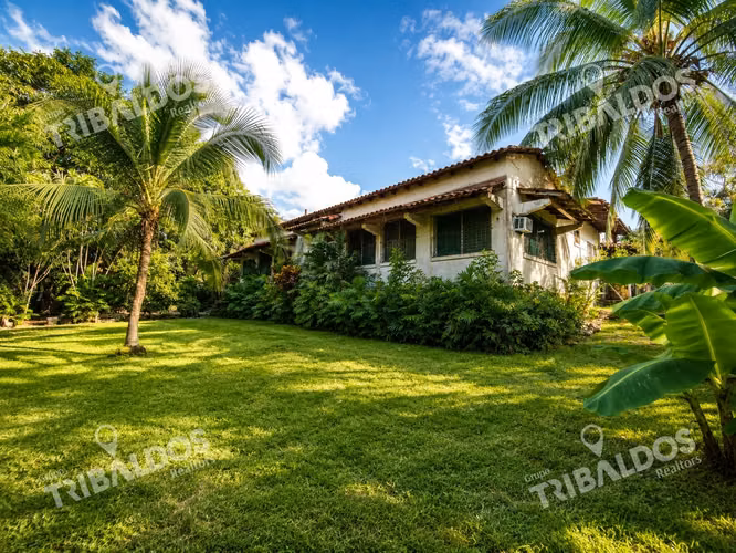 Terreno de 1,556m² en Altos del Golf con casa colonial para restaurar - Imagen 5