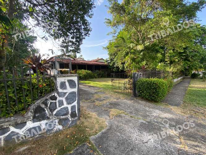 Terreno de 1,556m² en Altos del Golf con casa colonial para restaurar - Imagen 9