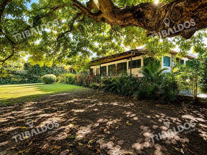 Terreno de 1,556m² en Altos del Golf con casa colonial para restaurar - Imagen 4