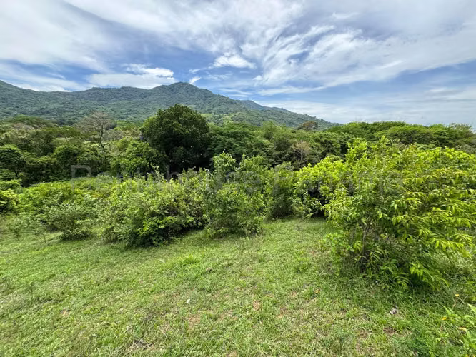Terreno en Venta en Sora JG