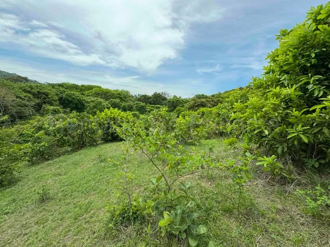Terreno en Venta en Sora JG