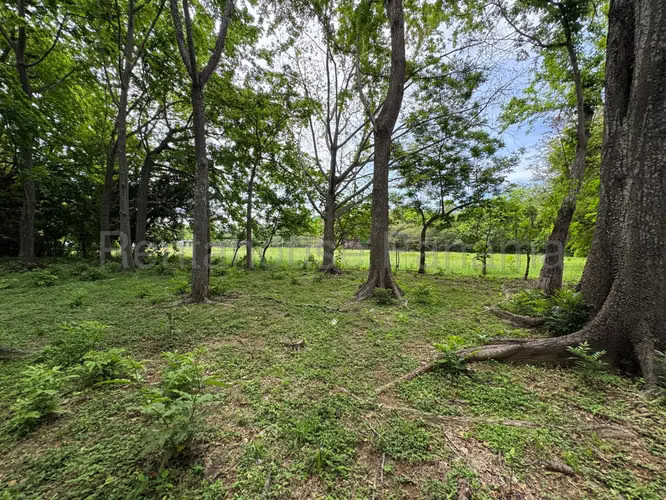 Terreno en Venta en Sora JG
