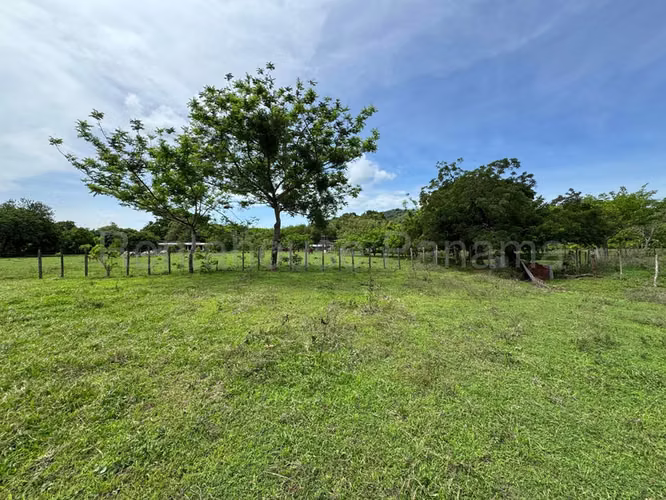 Land for Sale in Sora JG