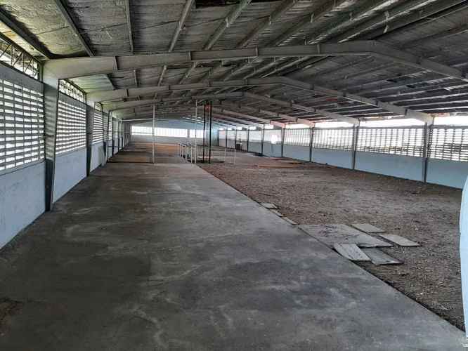 Se vende bodega con terreno en Río Abajo - Imagen 5