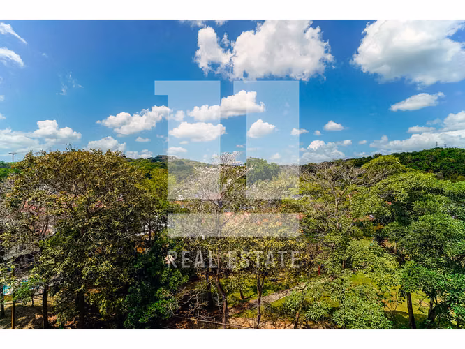 Se Vende Casa en Dos Mares, Bethania - Imagen 14