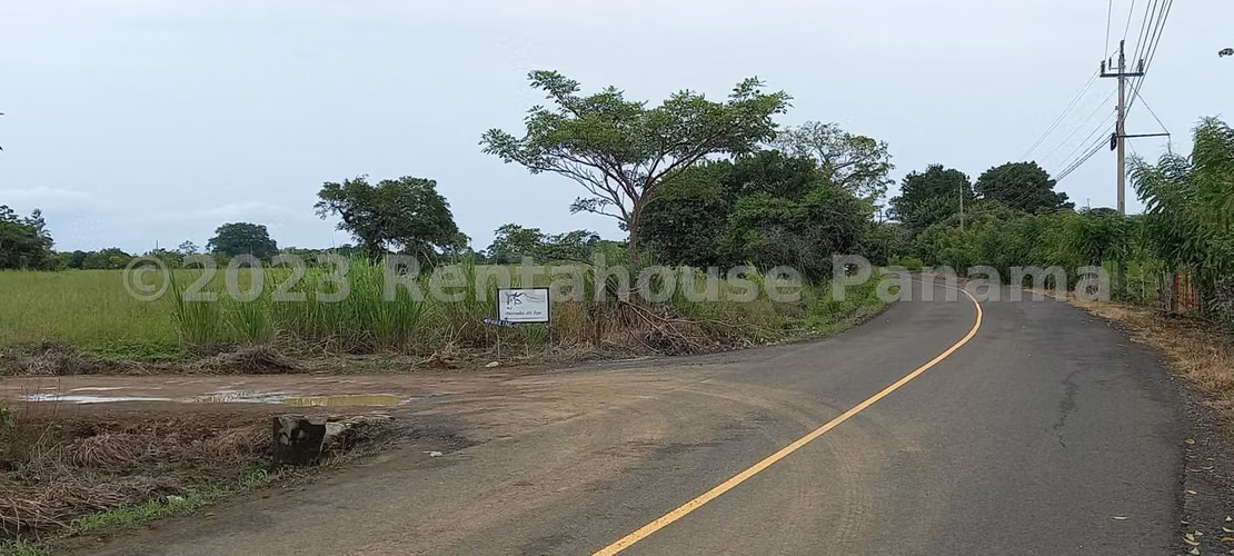 Lote en venta en Pedasi 1322 m2 24YCG9895 - Imagen 5