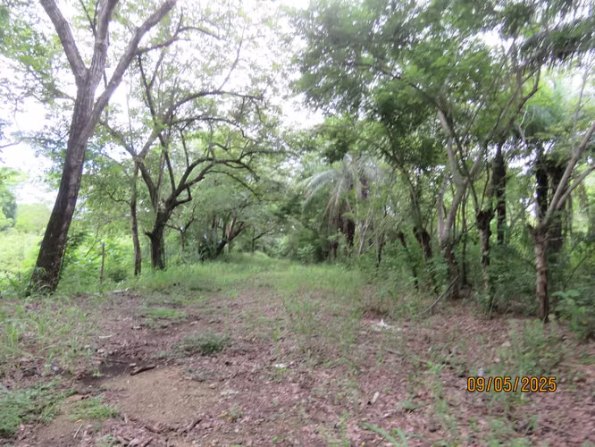 Se vende Terreno en San Carlitos, David, Chirqui - Imagen 7