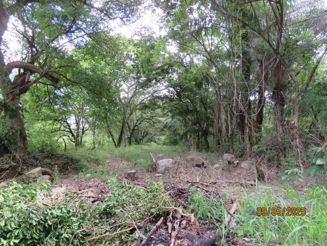 Se vende Terreno en San Carlitos, David, Chirqui