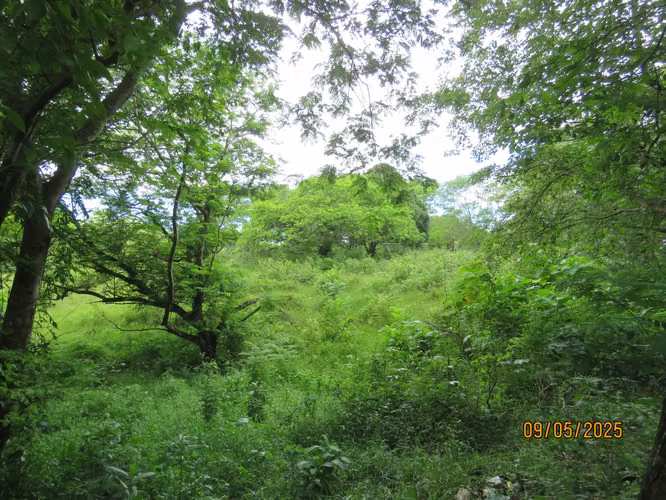 Se vende Terreno en San Carlitos, David, Chirqui - Imagen 8