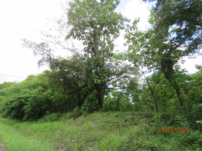 Se vende Terreno en San Carlitos, David, Chirqui - Imagen 2
