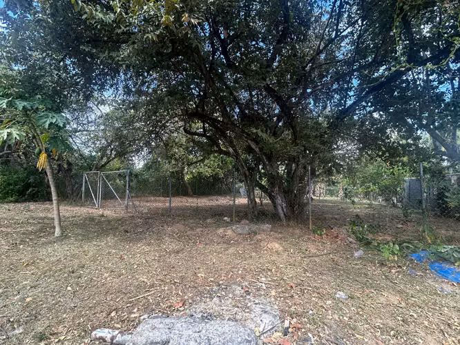Vendo terreno de playa plano en Nueva Gorgona. Negociable