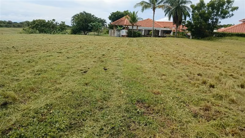 VENTA DE TERRENO DE PLAYA EN VISTA MAR GOLF, BEACH & MARINA - Imagen 4