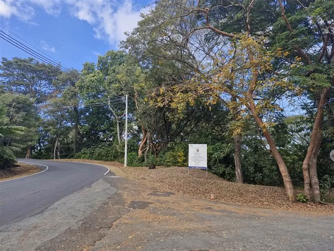SALE OF COMMERCIAL LAND IN THE SAN CARLOS THORN